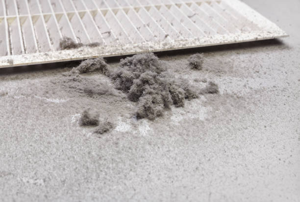 Best Professional Duct Cleaning Services  in Colonial Beach, VA