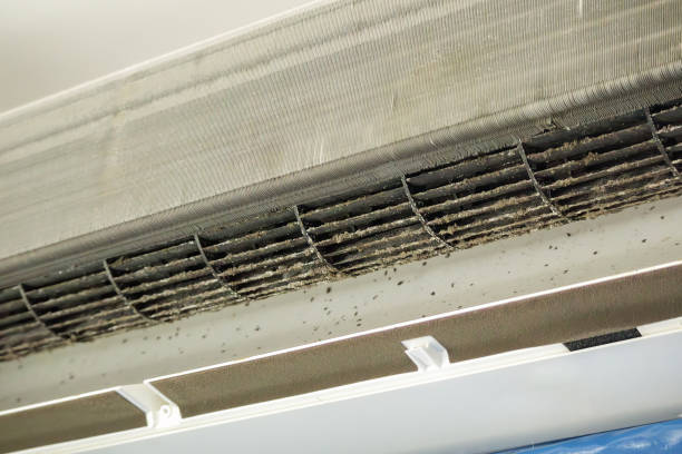 Best Ventilation Cleaning Services  in Colonial Beach, VA